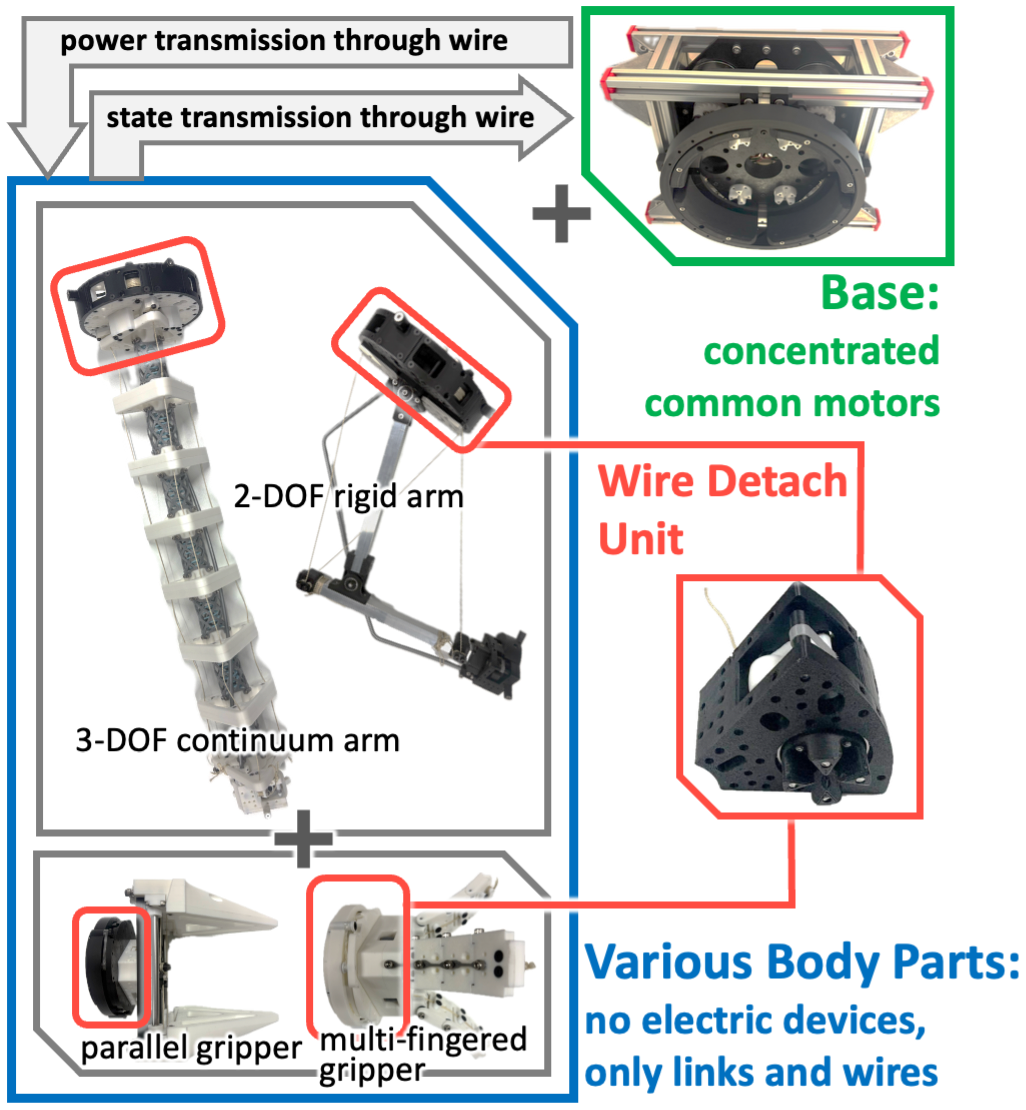 Detachable Wire Drive: Reconfigurable Robot Architecture with Shared Actuators