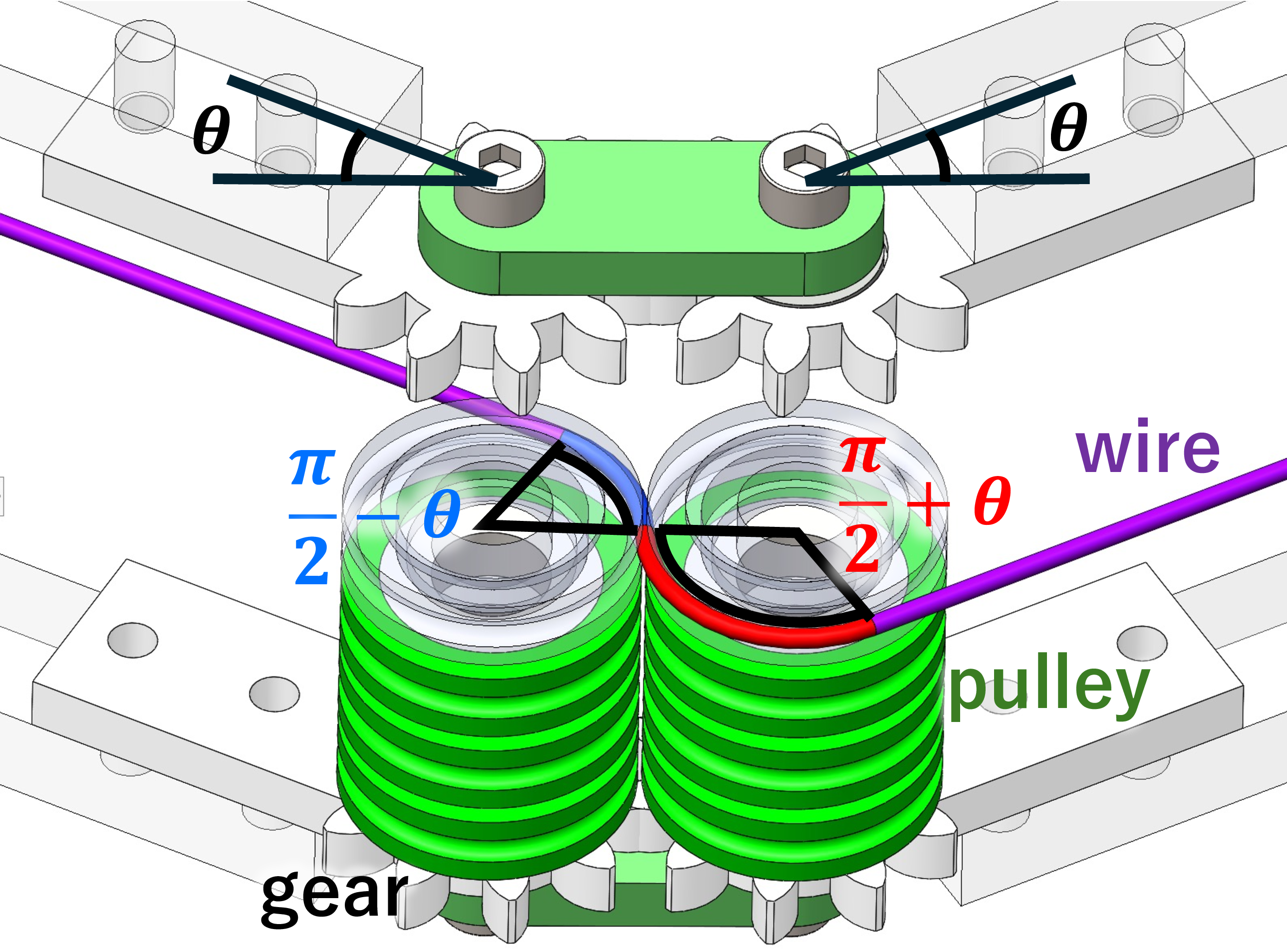 Structure of a decoupled joint.