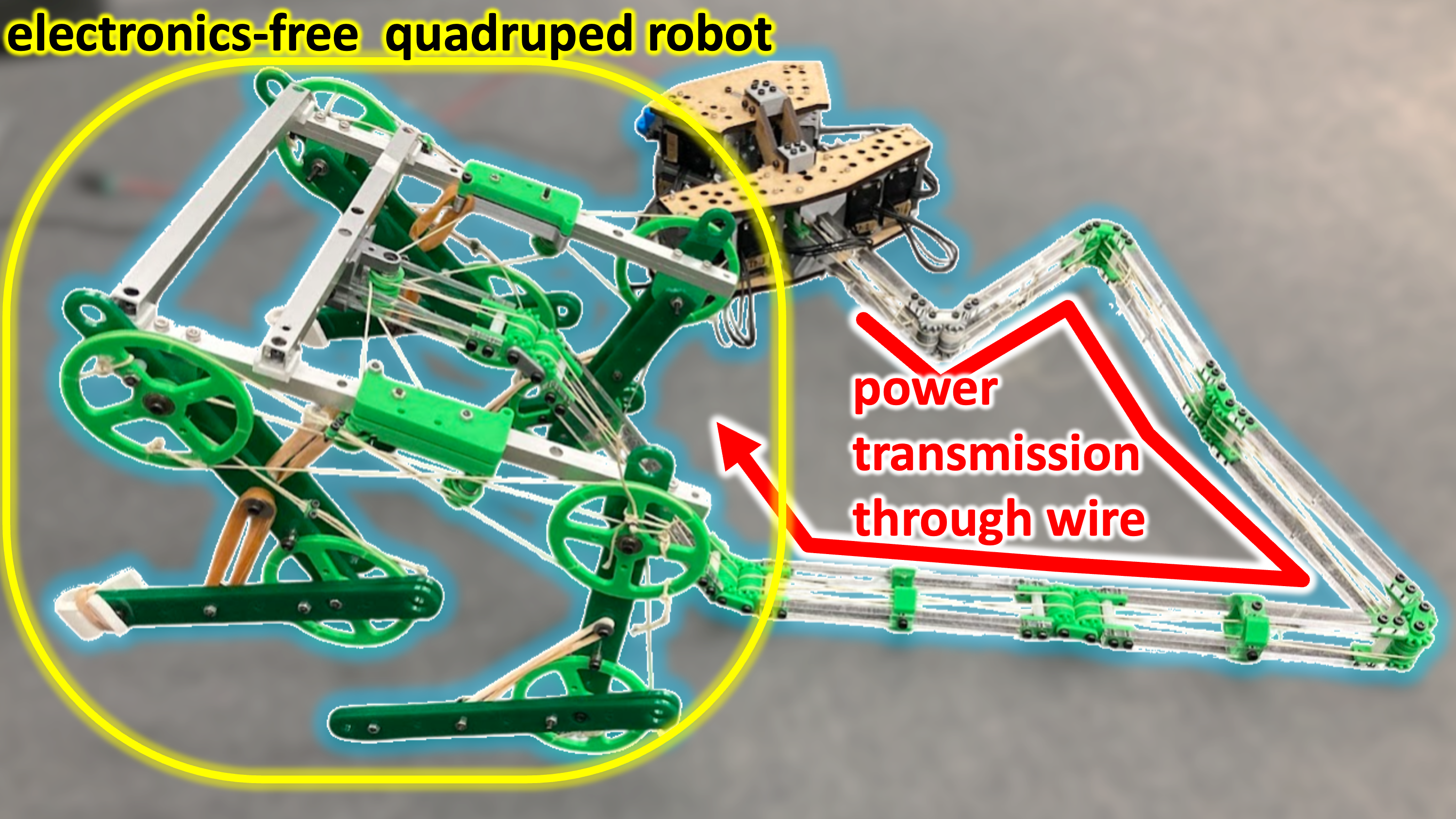 Design and Development of a Remotely Wire-Driven Walking Robot